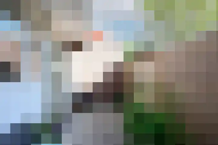 Woestduinstraat 57 1 Amsterdam thumbnail 13