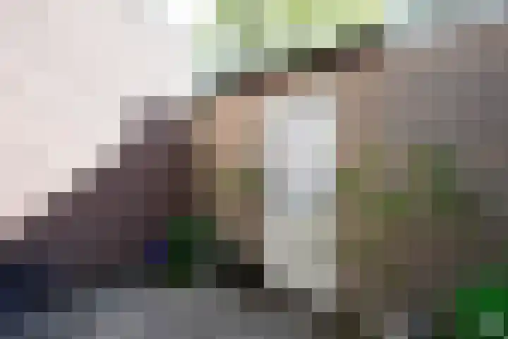 Woestduinstraat 57 1 Amsterdam thumbnail 14