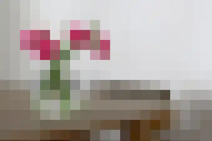Woestduinstraat 57 1 Amsterdam thumbnail 6