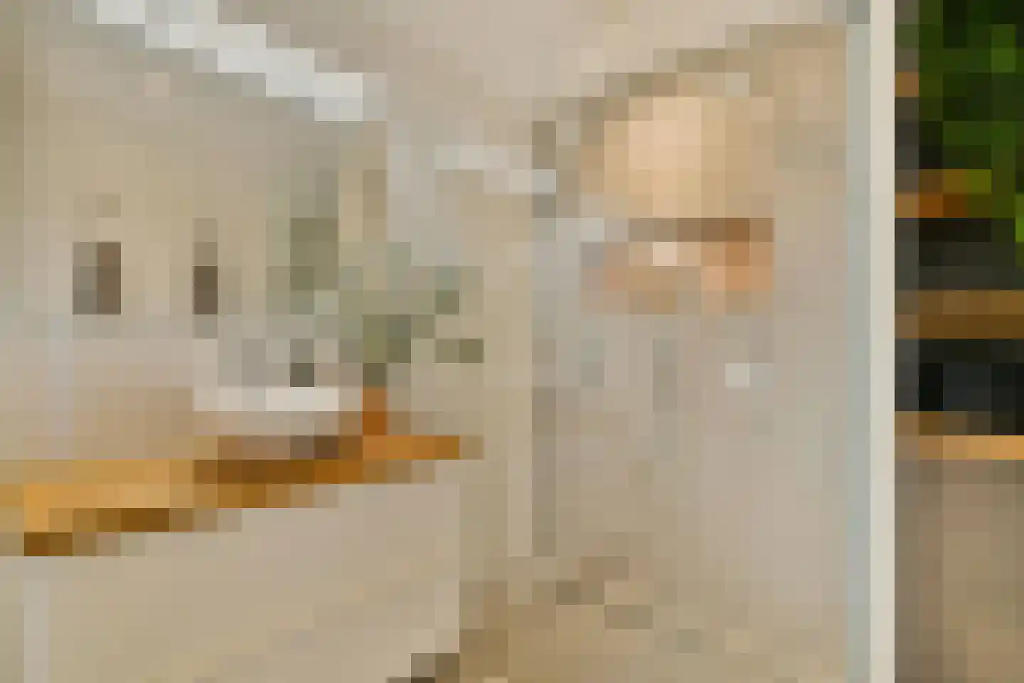 Woestduinstraat 67 3 Amsterdam thumbnail 17