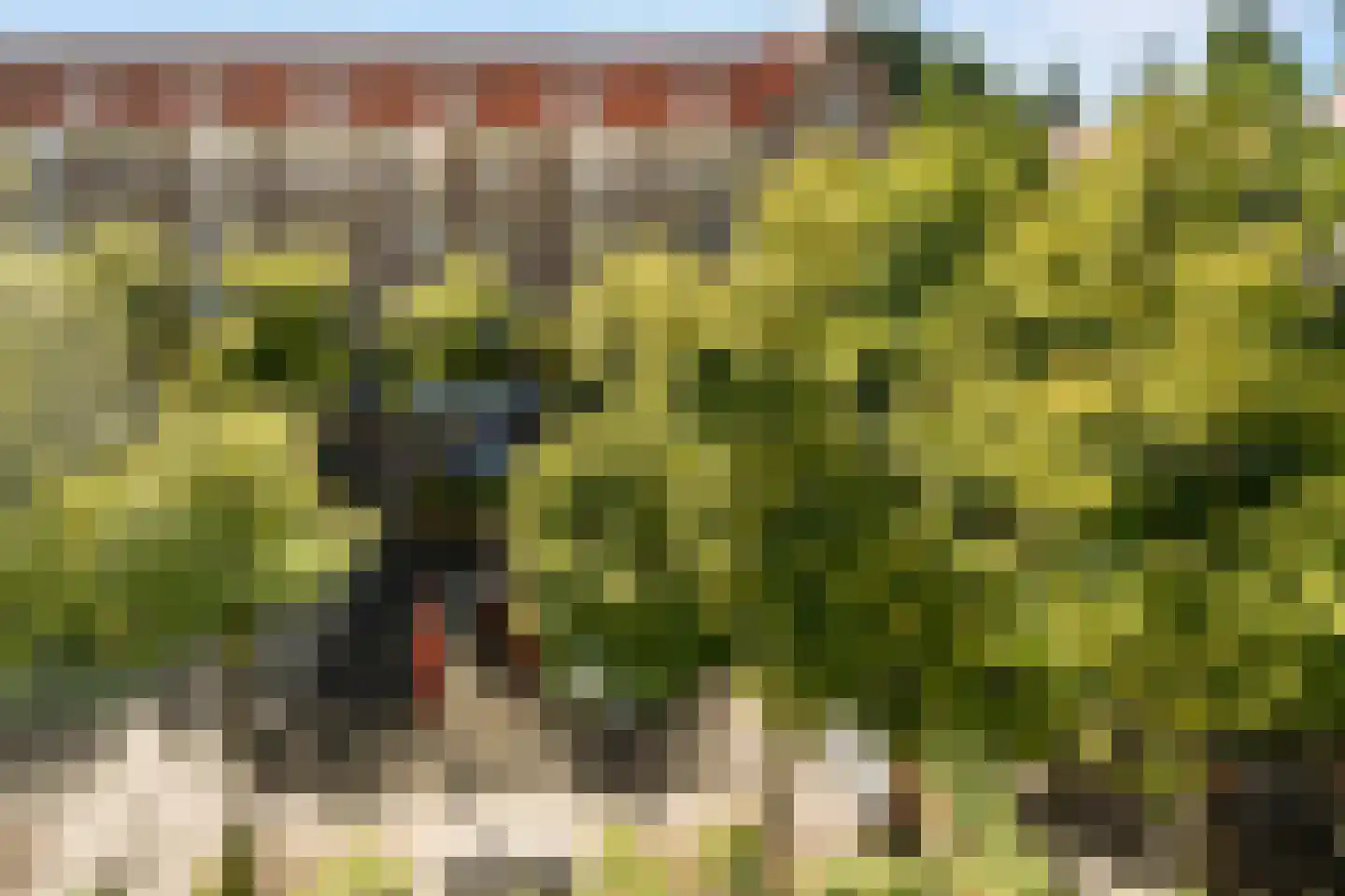 Woestduinstraat 67 3 Amsterdam thumbnail 22