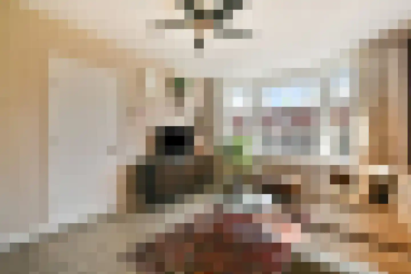 Woestduinstraat 67 3 Amsterdam thumbnail 7