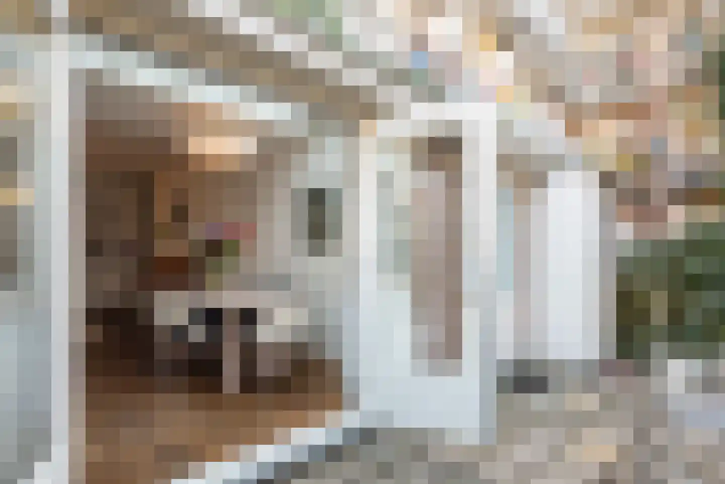 Woestduinstraat 68 2 Amsterdam thumbnail 10