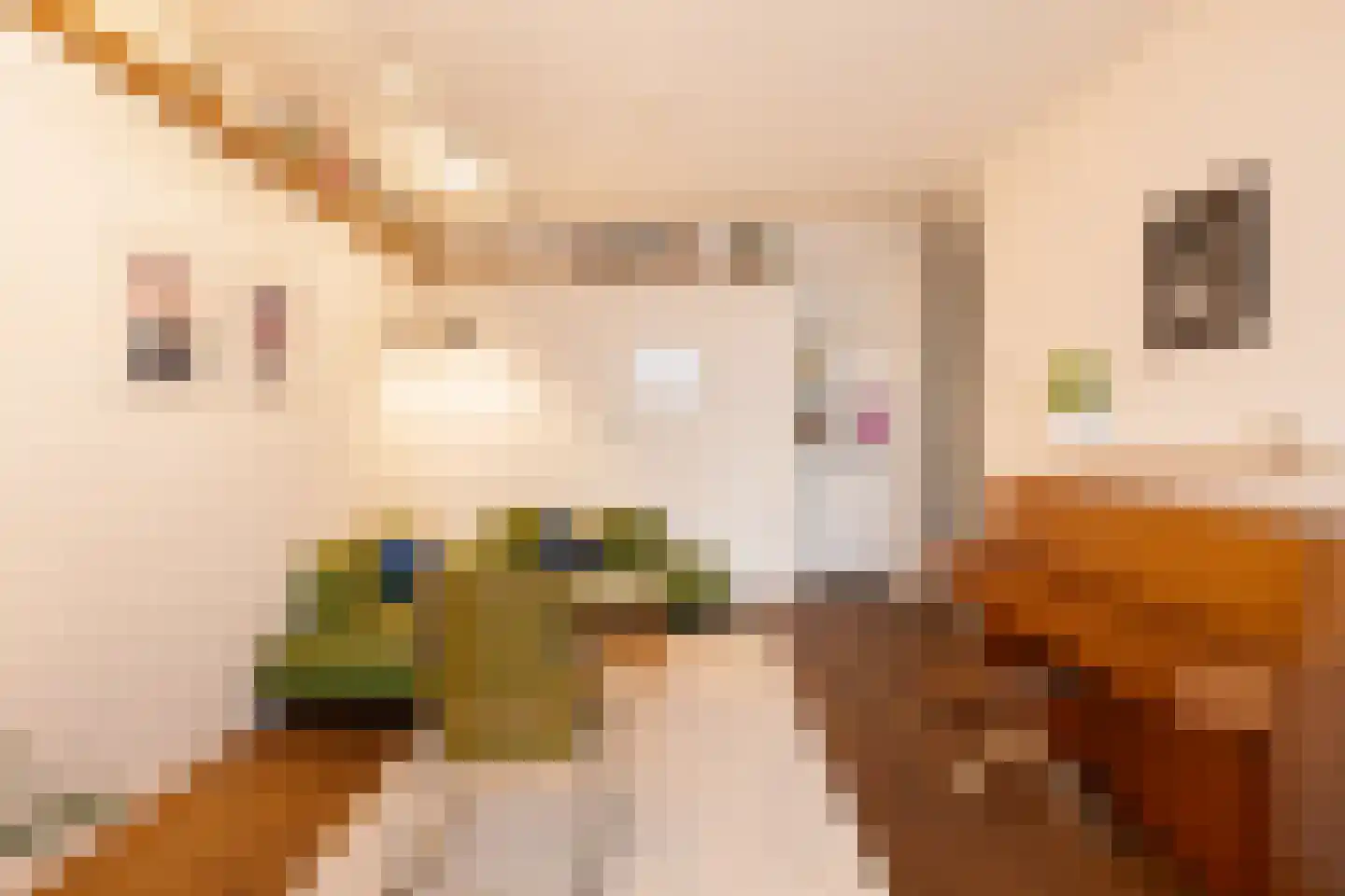 Woestduinstraat 68 2 Amsterdam thumbnail 13