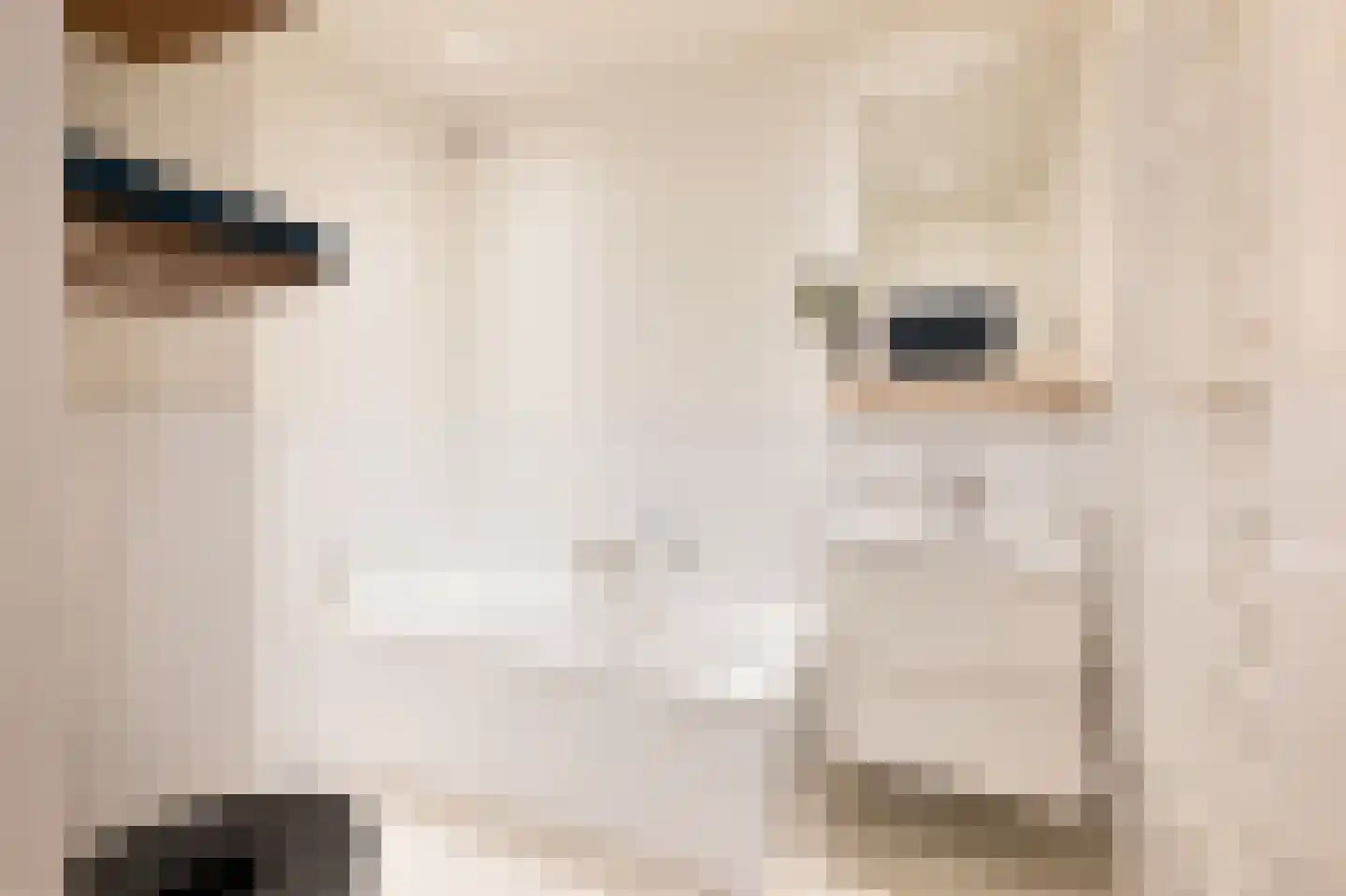 Woestduinstraat 68 2 Amsterdam thumbnail 15