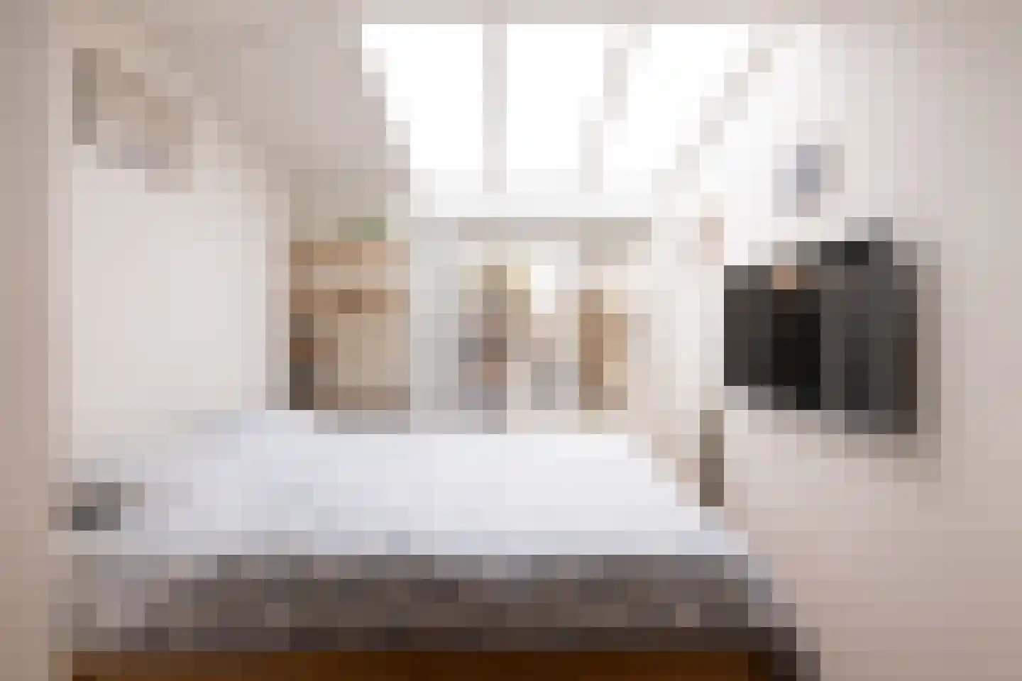 Woestduinstraat 68 2 Amsterdam thumbnail 18