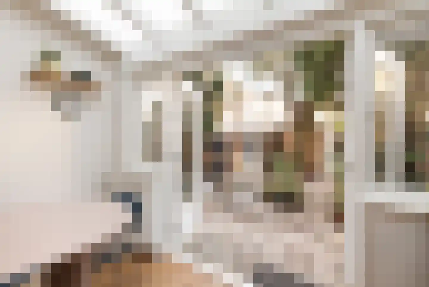 Woestduinstraat 68 2 Amsterdam thumbnail 4