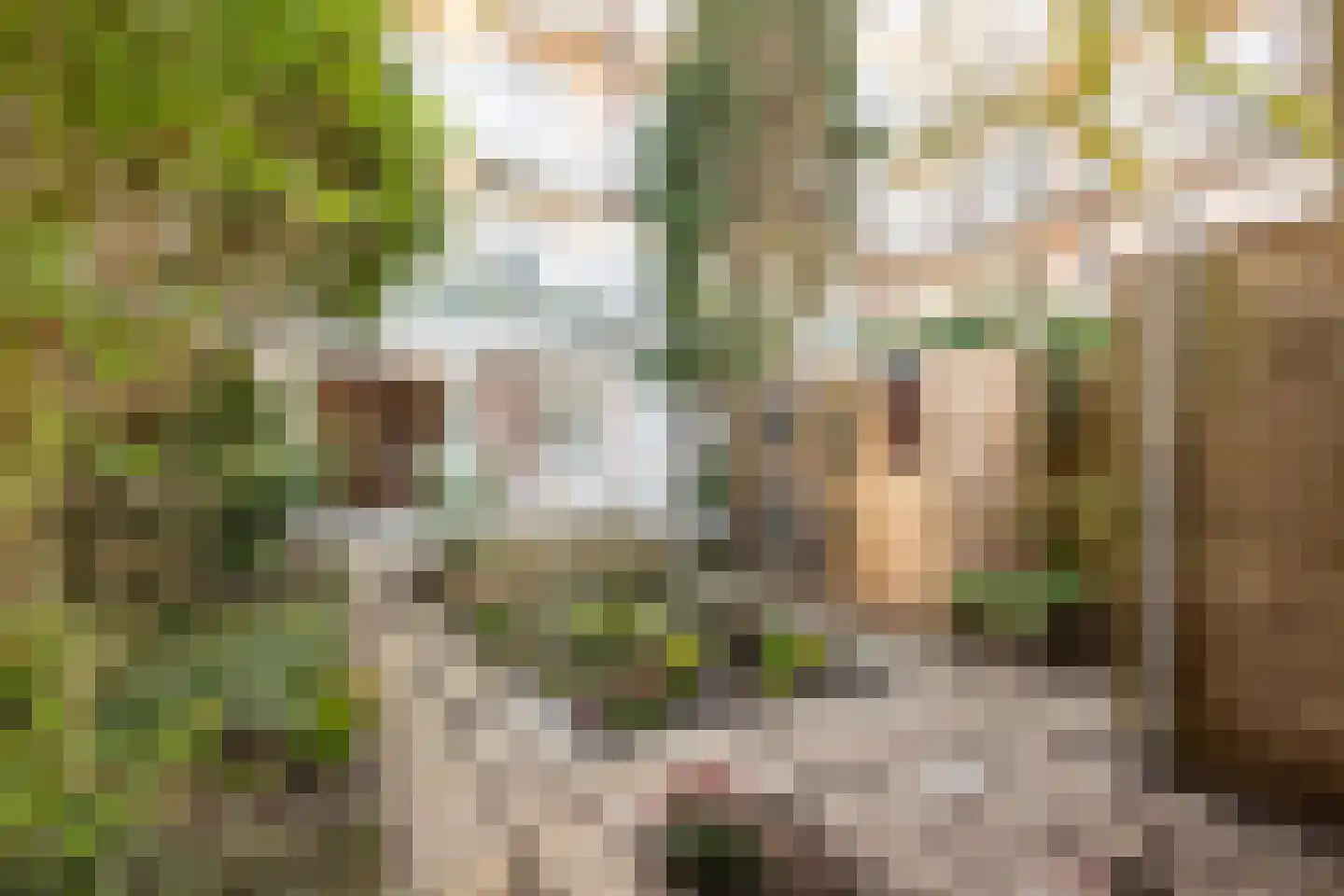 Woestduinstraat 68 2 Amsterdam thumbnail 5