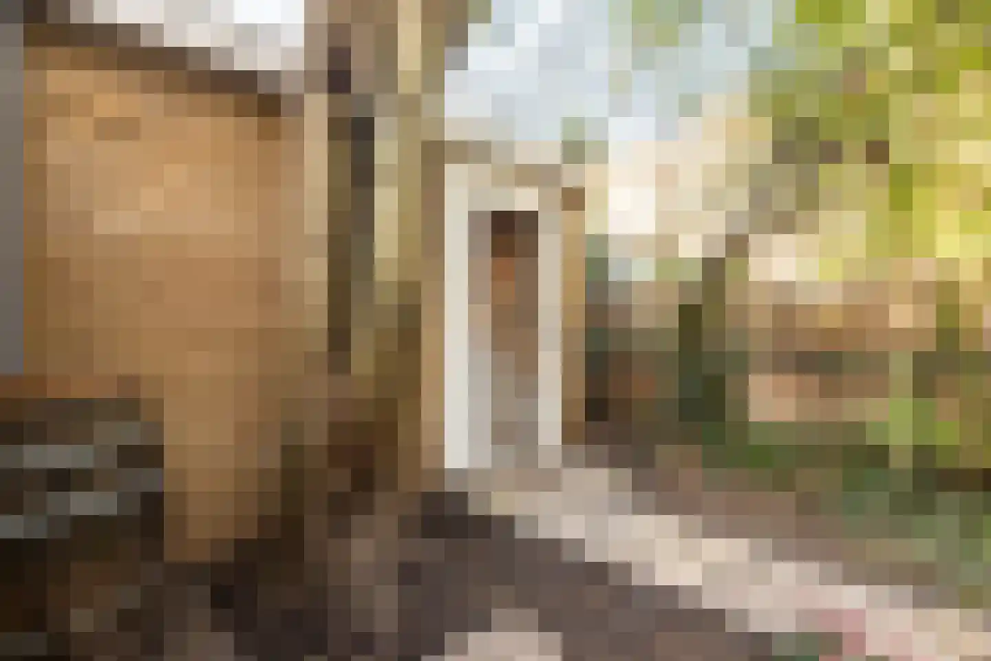 Woestduinstraat 68 2 Amsterdam thumbnail 6