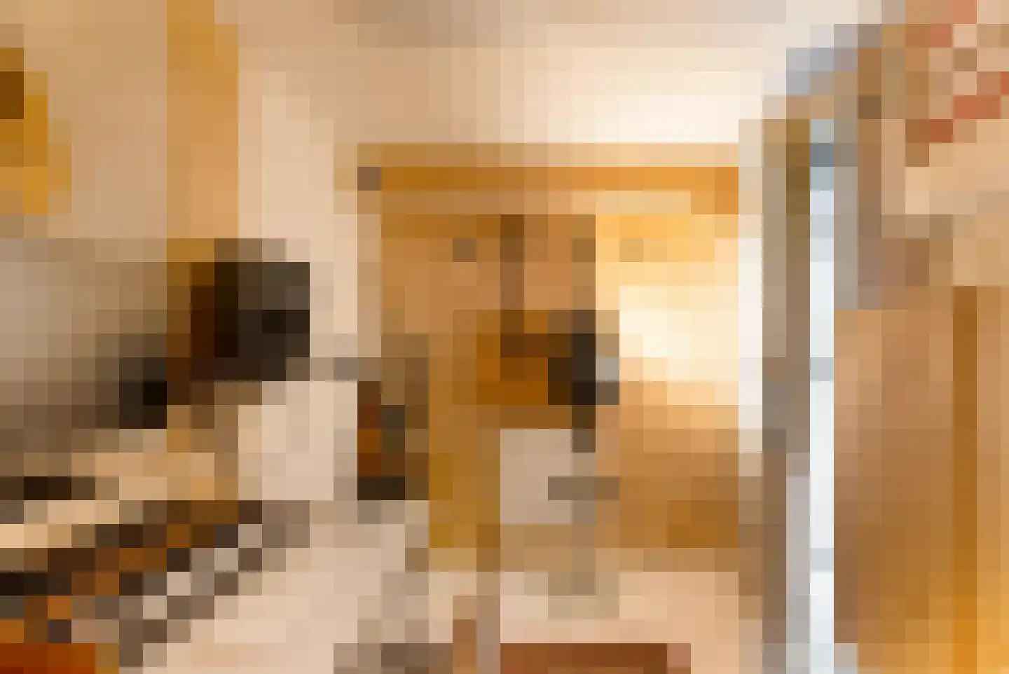Woestduinstraat 68 2 Amsterdam thumbnail 7