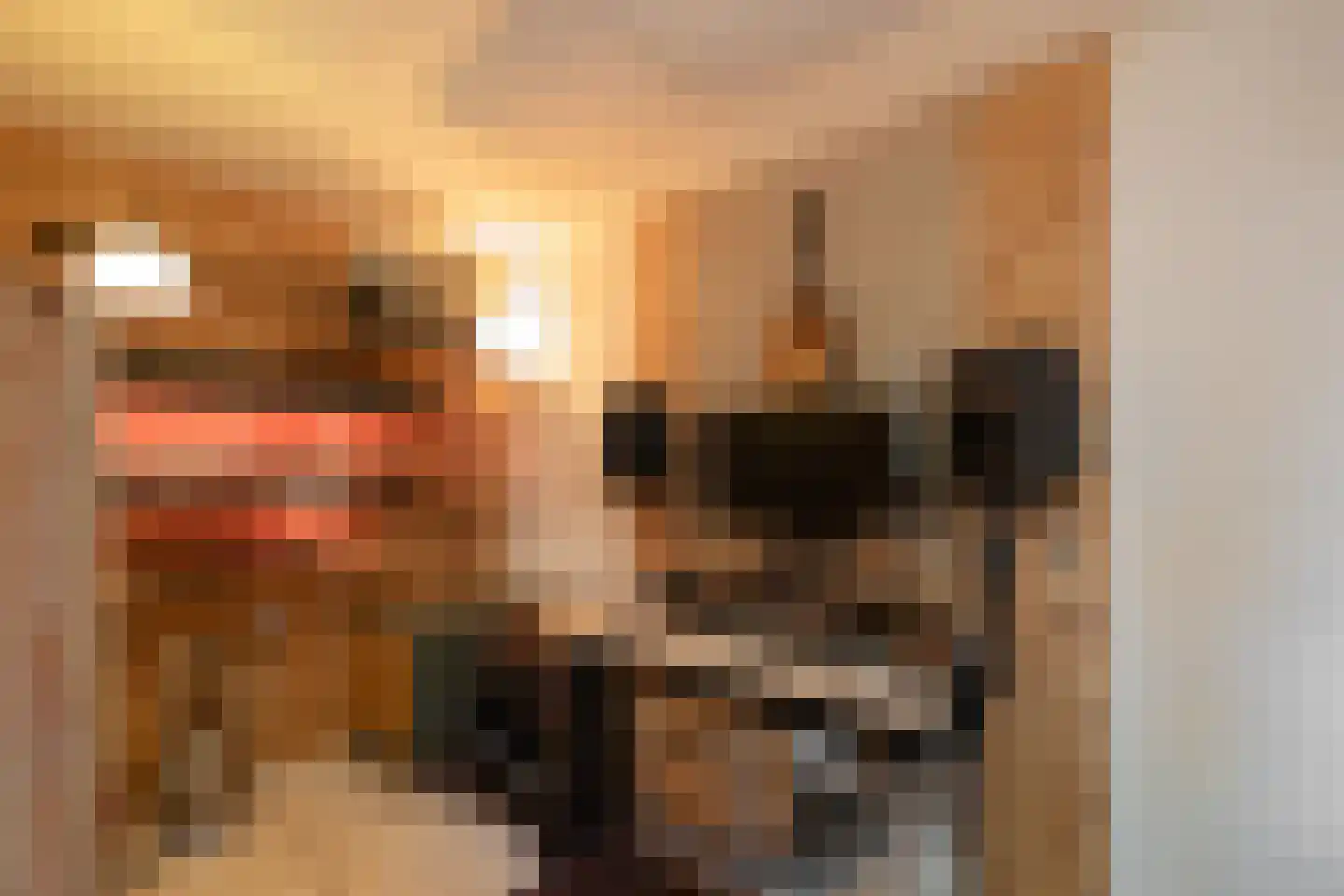 Woestduinstraat 68 2 Amsterdam thumbnail 8