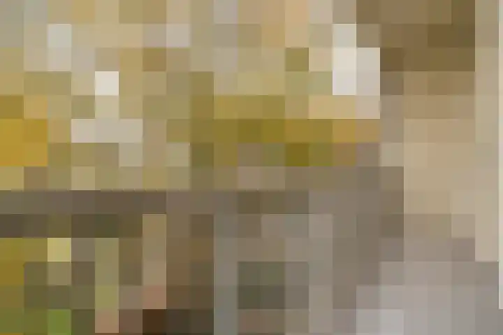 Woestduinstraat 7 1 Amsterdam thumbnail 17