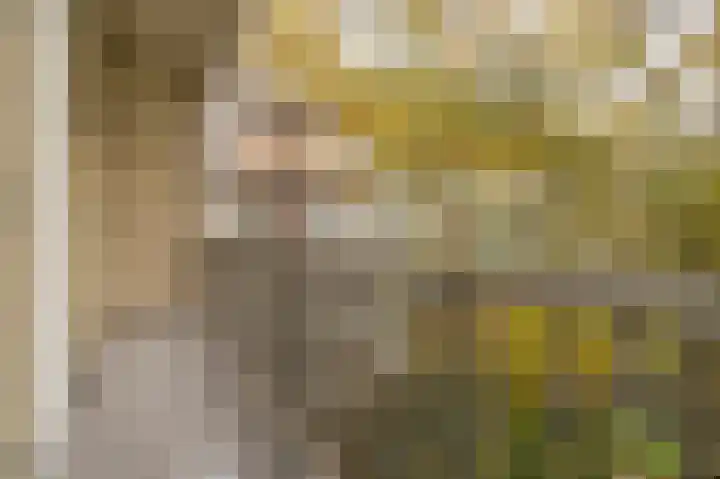 Woestduinstraat 7 1 Amsterdam thumbnail 18