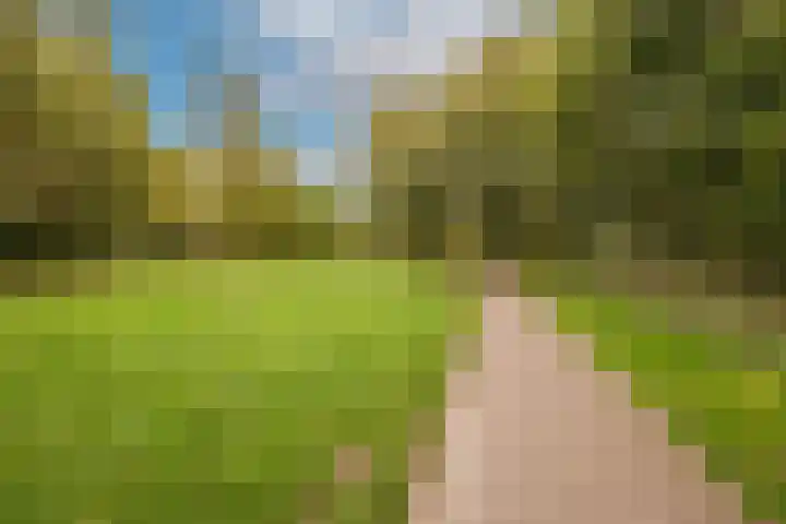 Woestduinstraat 7 1 Amsterdam thumbnail 22
