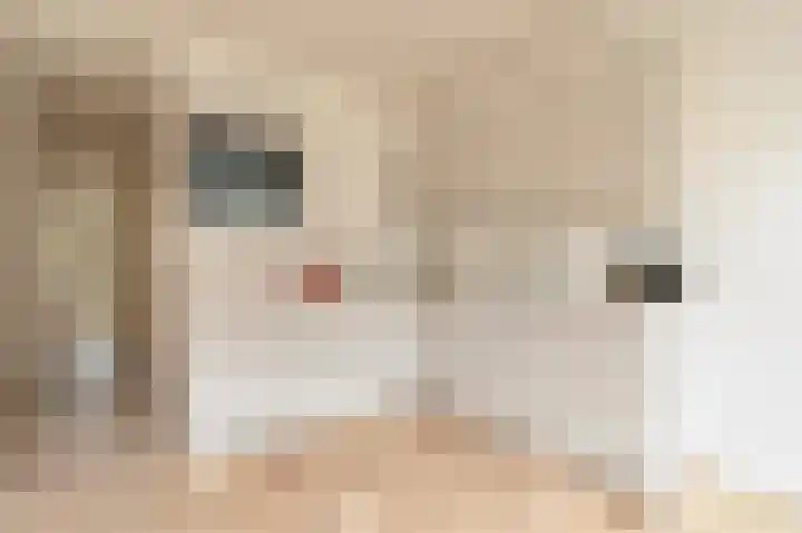 Woestduinstraat 7 1 Amsterdam thumbnail 5
