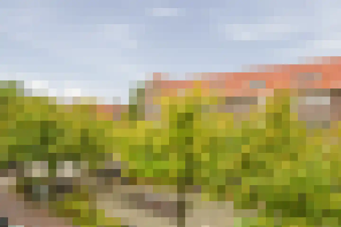 Woestduinstraat 71 2 Amsterdam thumbnail 12