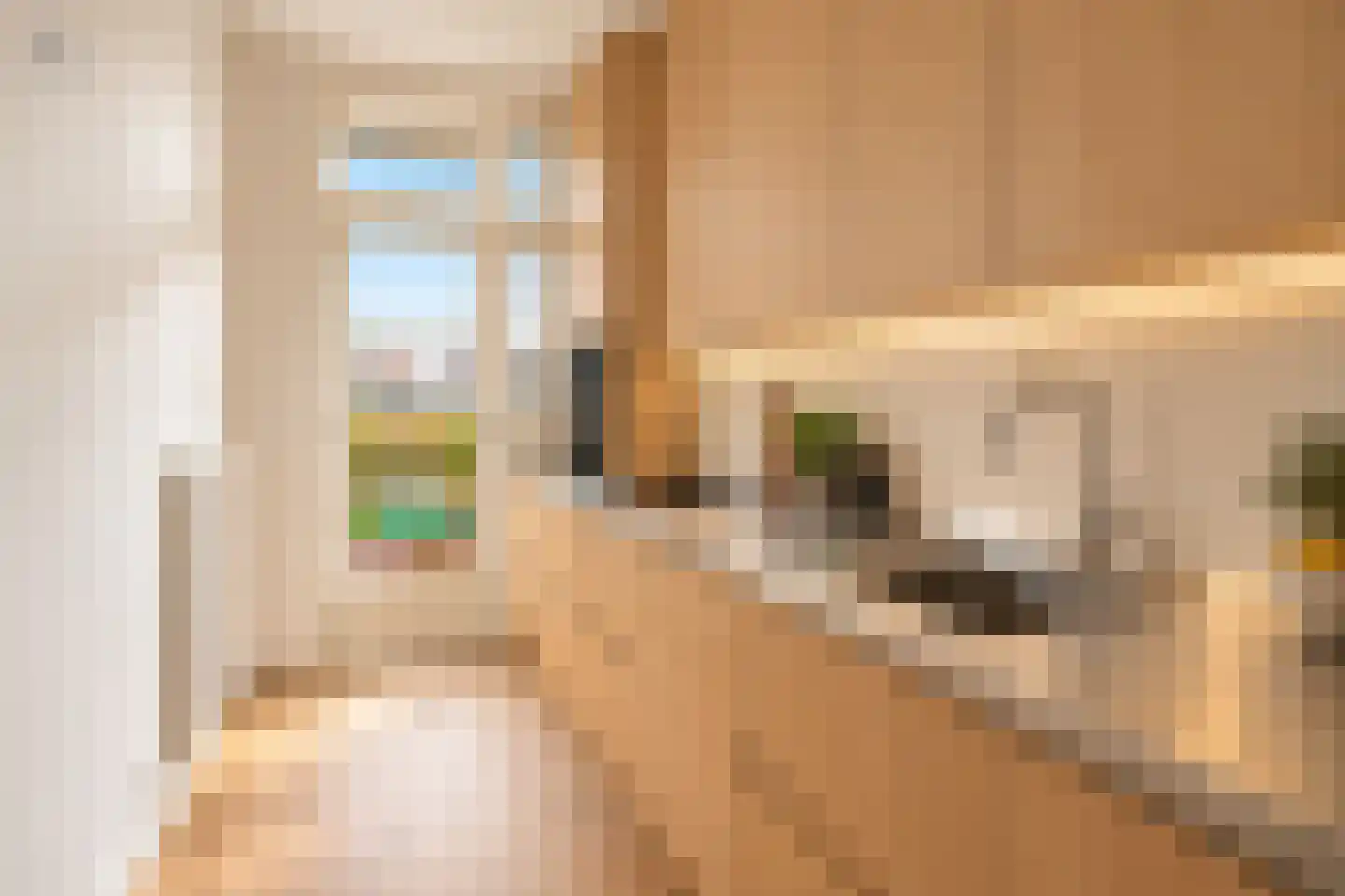 Woestduinstraat 71 2 Amsterdam thumbnail 15