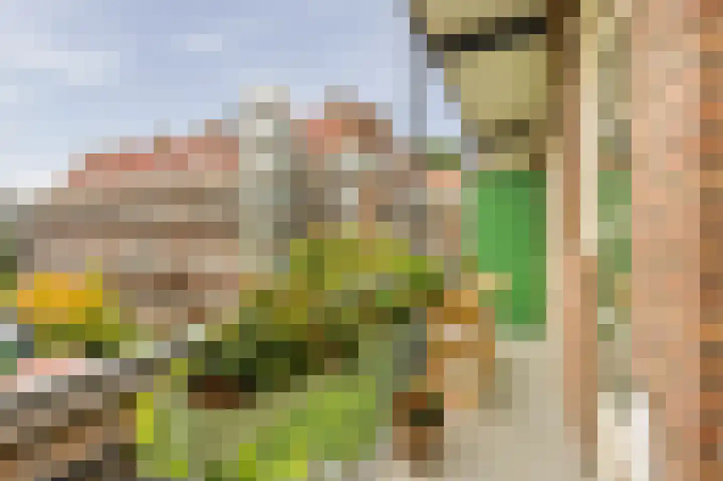 Woestduinstraat 71 2 Amsterdam thumbnail 19