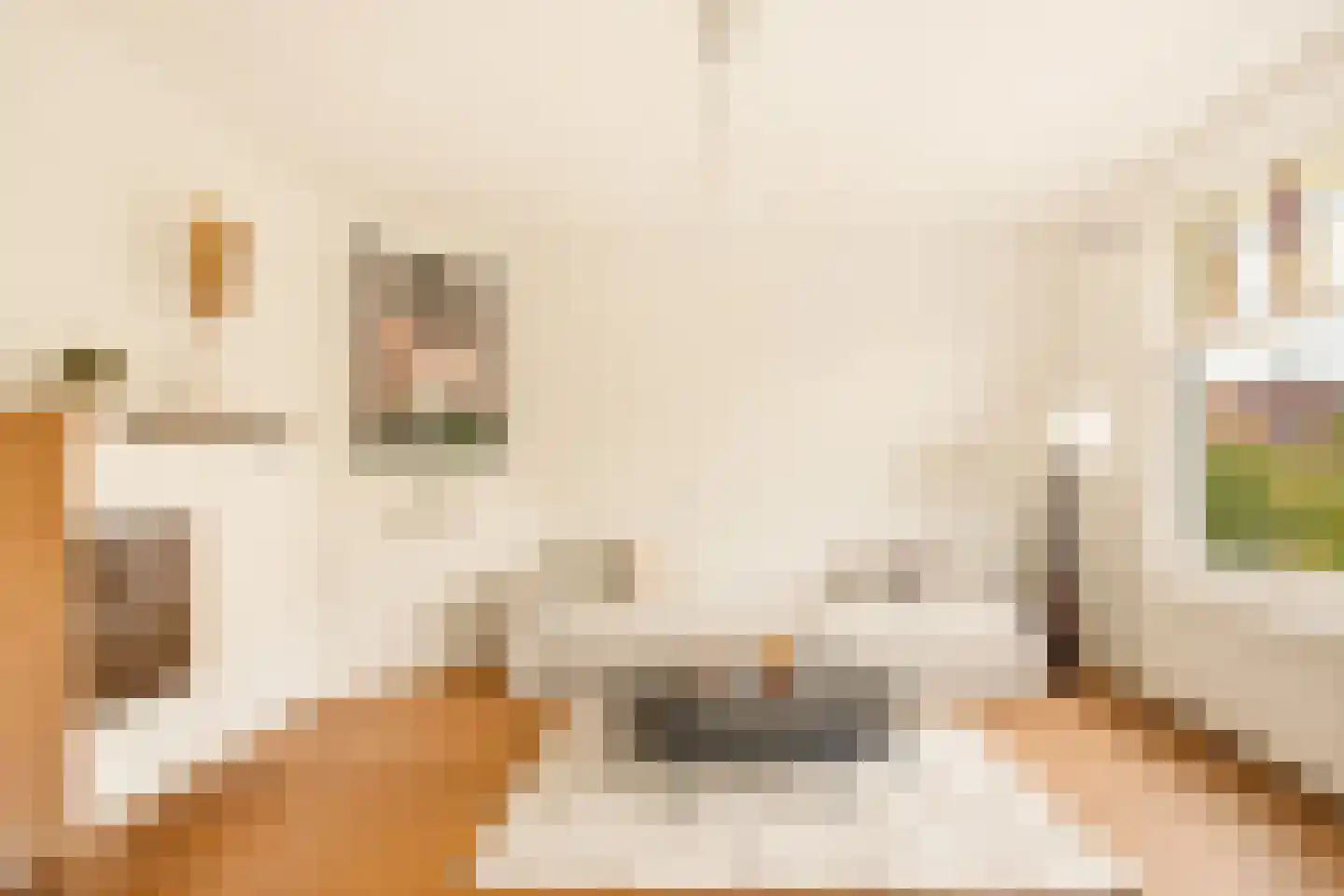 Woestduinstraat 71 2 Amsterdam thumbnail 8