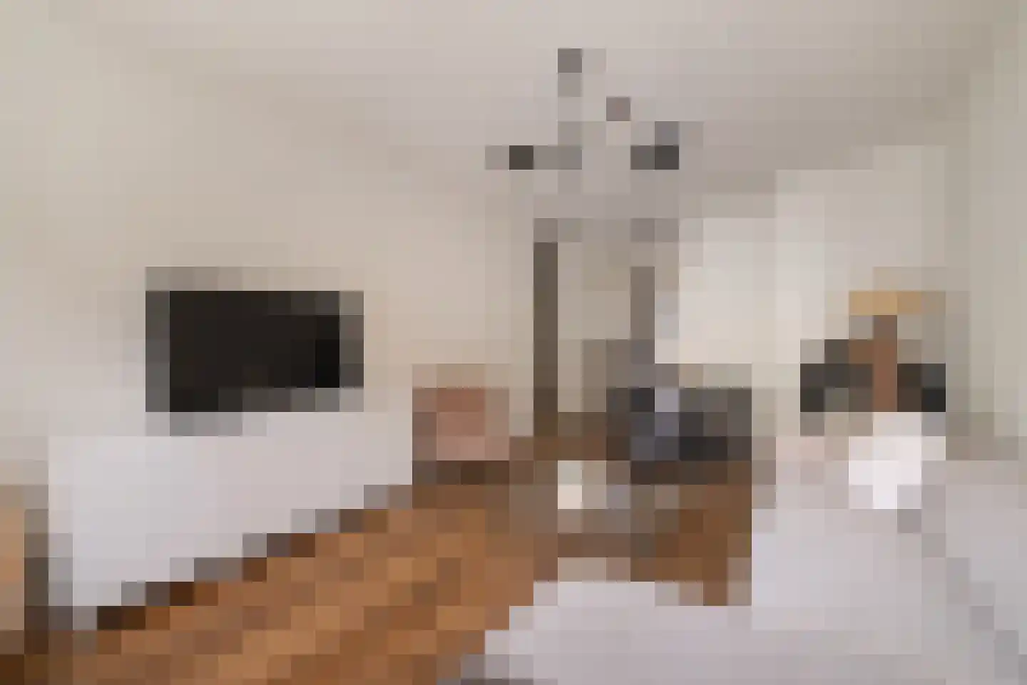 Woestduinstraat 72 H Amsterdam thumbnail 6