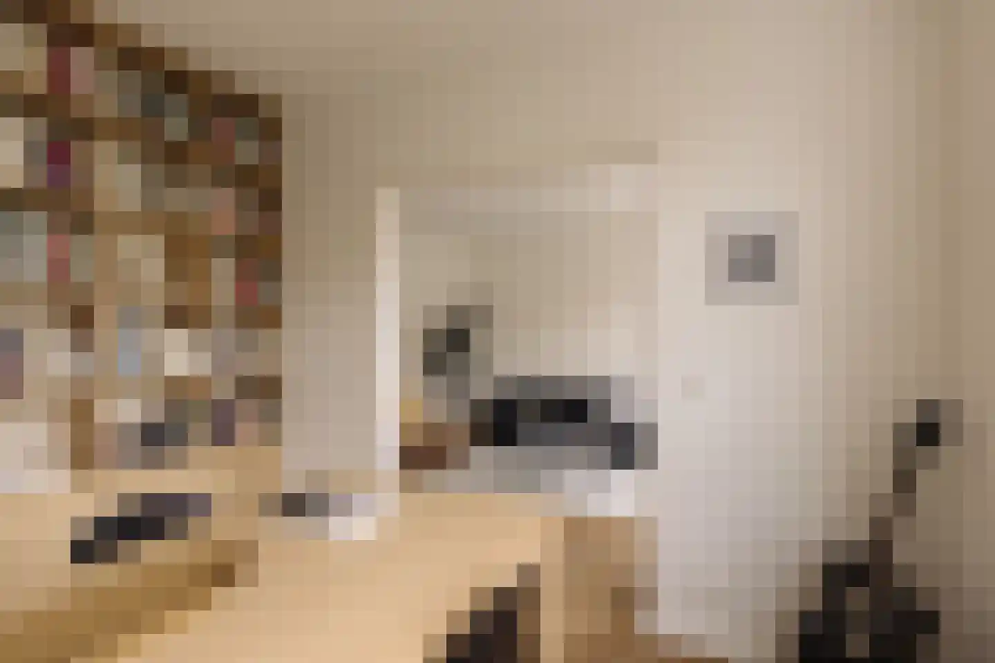 Woestduinstraat 75 1 Amsterdam thumbnail 12
