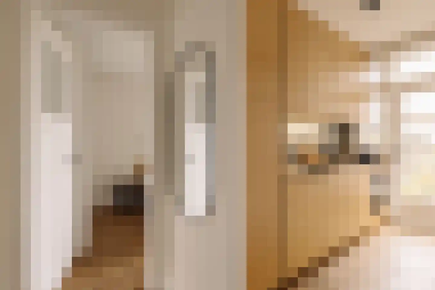 Woestduinstraat 75 1 Amsterdam thumbnail 13