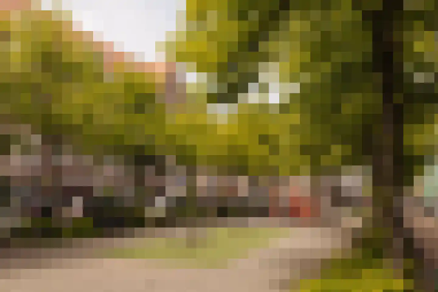 Woestduinstraat 75 1 Amsterdam thumbnail 25