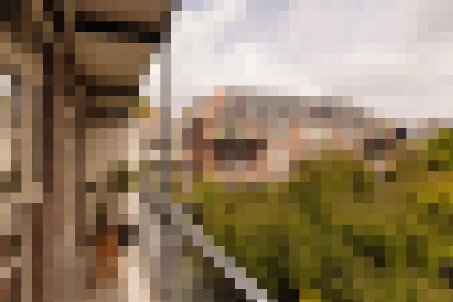 Woestduinstraat 75 H Amsterdam thumbnail 24