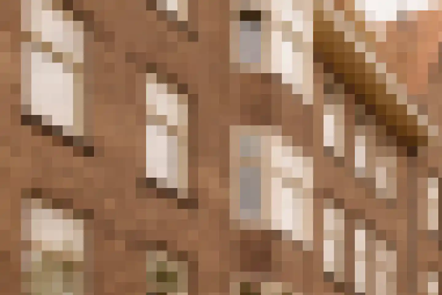 Woestduinstraat 75 H Amsterdam thumbnail 7