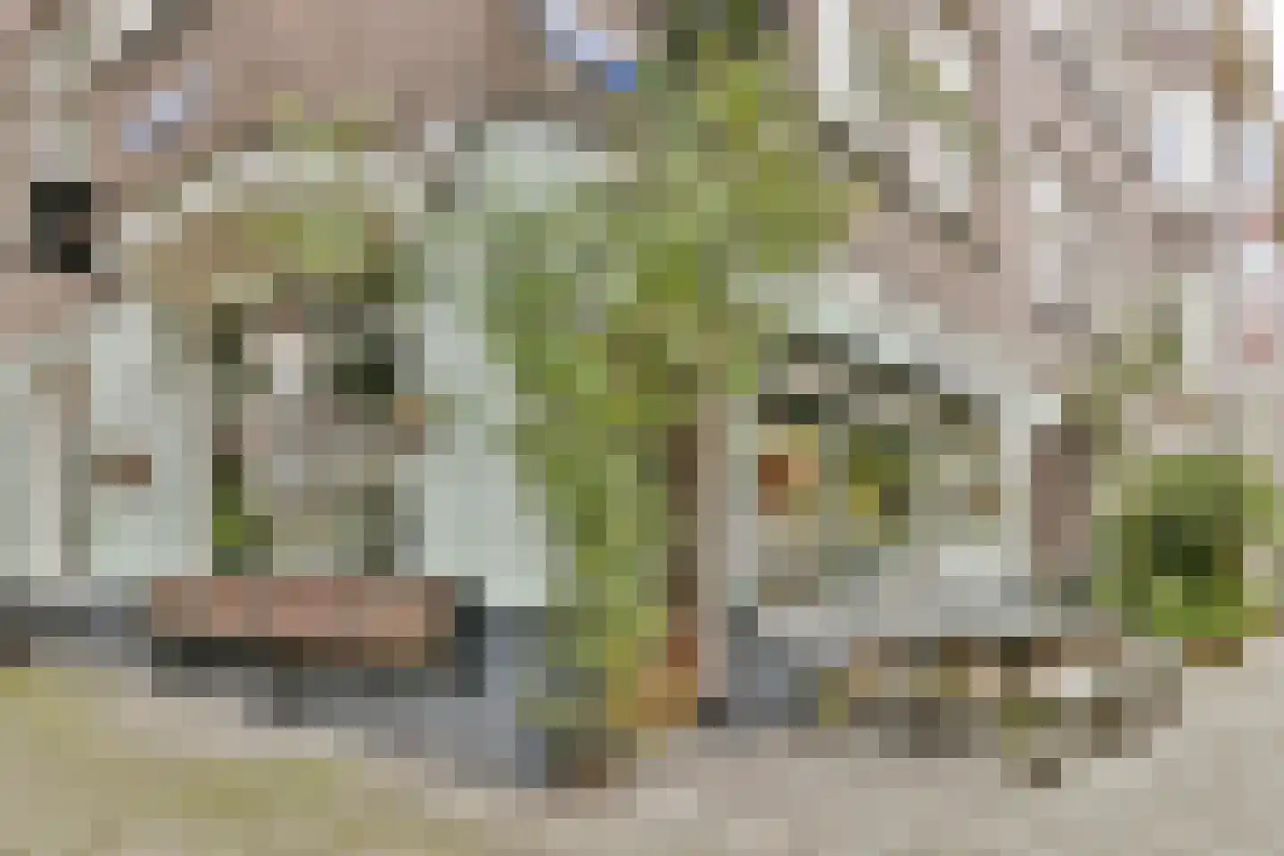 Woestduinstraat 86 1 Amsterdam thumbnail 19