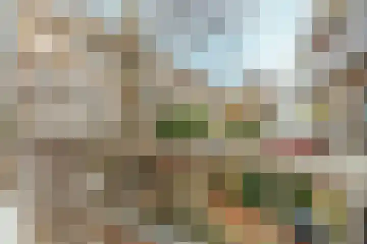 Woestduinstraat 9 1 Amsterdam thumbnail 11