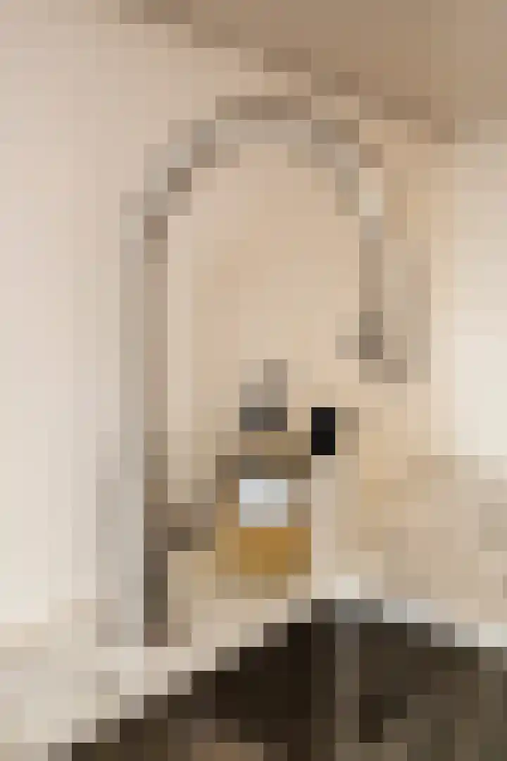 Woestduinstraat 9 1 Amsterdam thumbnail 12