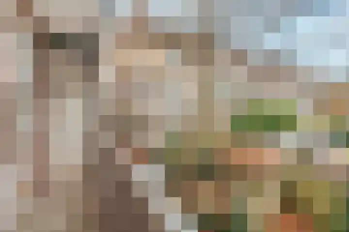 Woestduinstraat 9 1 Amsterdam thumbnail 12