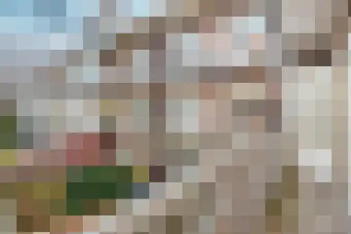 Woestduinstraat 9 1 Amsterdam thumbnail 13