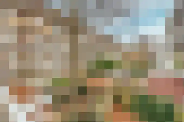 Woestduinstraat 9 1 Amsterdam thumbnail 14