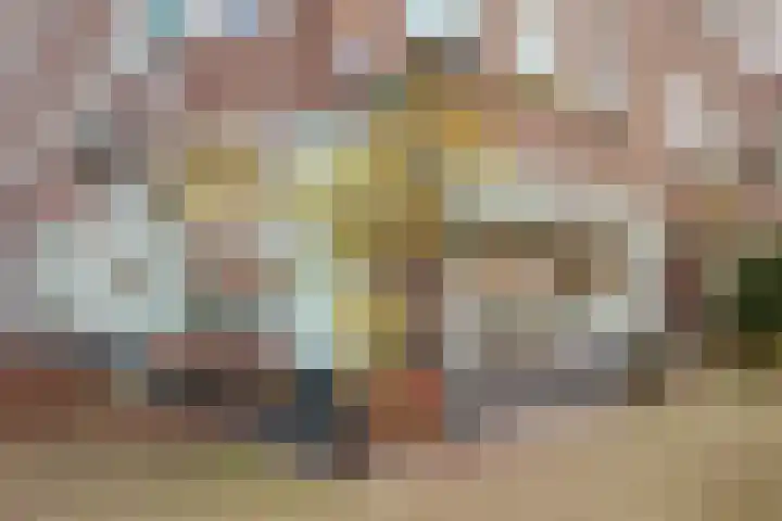 Woestduinstraat 9 1 Amsterdam thumbnail 17