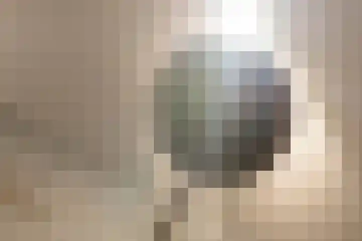 Woestduinstraat 9 1 Amsterdam thumbnail 20