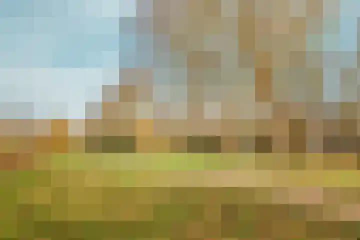 Woestduinstraat 9 1 Amsterdam thumbnail 25