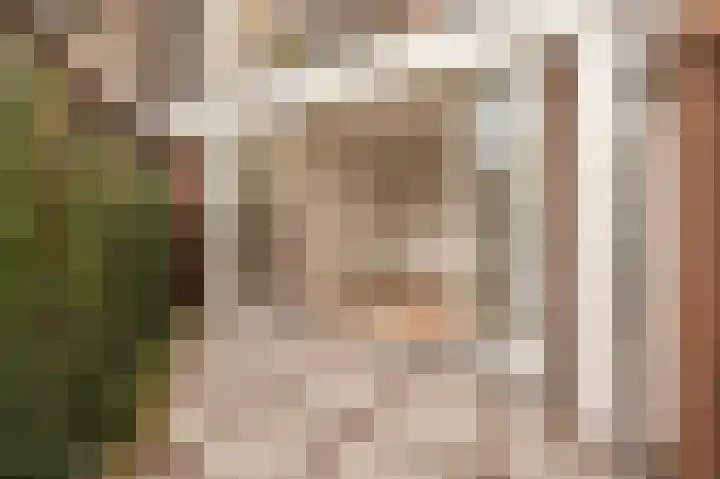 Woestduinstraat 9 1 Amsterdam thumbnail 26