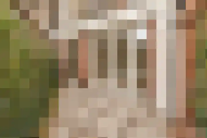 Woestduinstraat 9 1 Amsterdam thumbnail 27