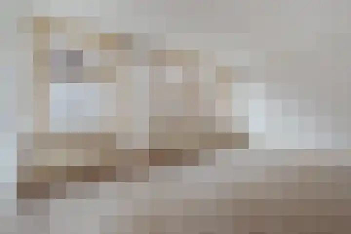 Woestduinstraat 9 1 Amsterdam thumbnail 5