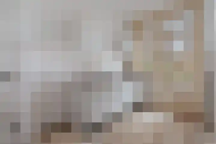 Woestduinstraat 9 1 Amsterdam thumbnail 8