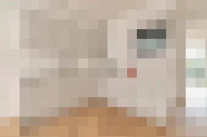 Woestduinstraat 9 1 Amsterdam thumbnail 9