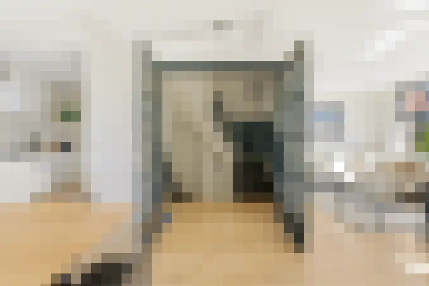 Woestduinstraat 92 2 Amsterdam thumbnail 20