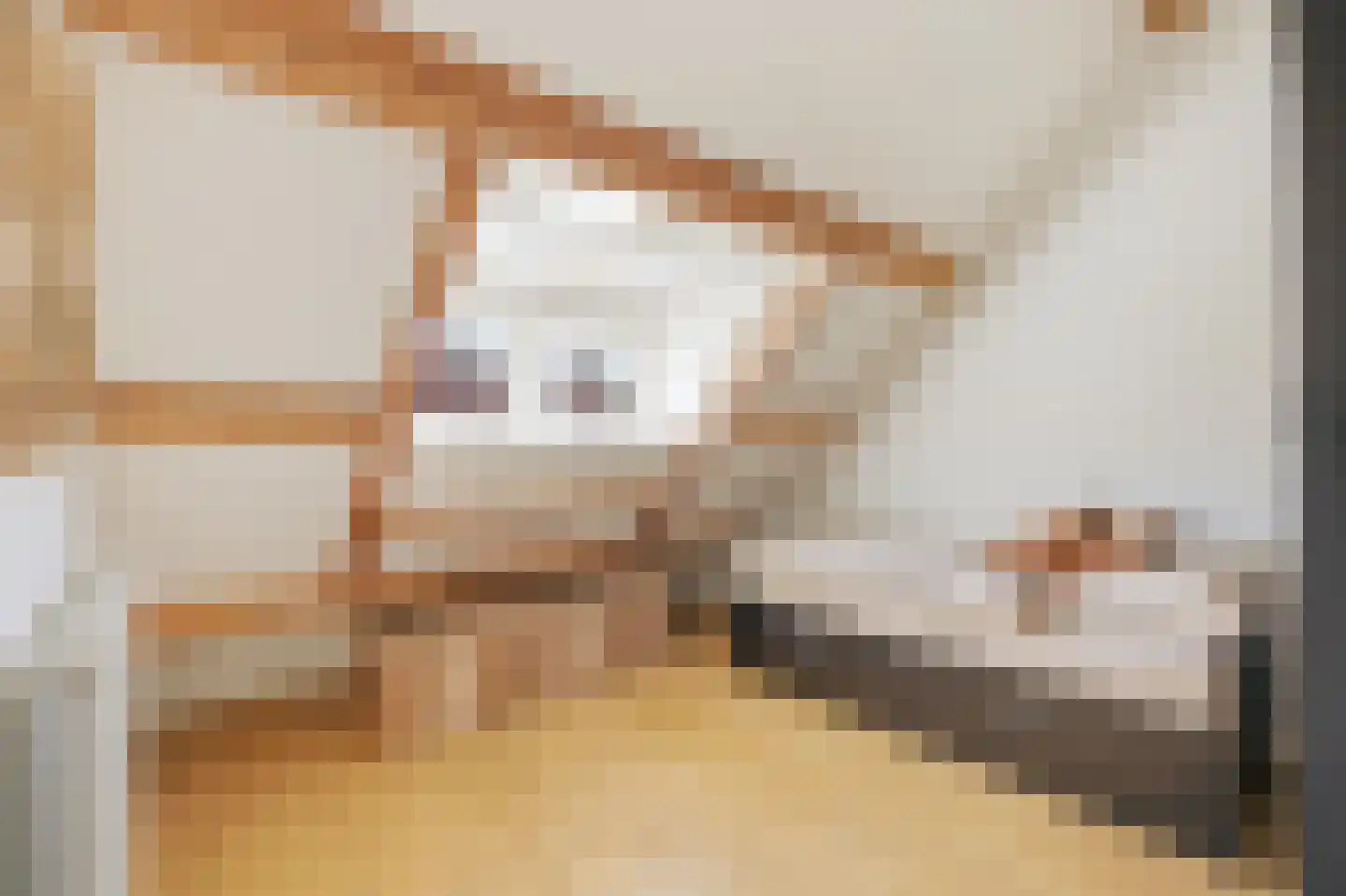 Woestduinstraat 92 2 Amsterdam thumbnail 31