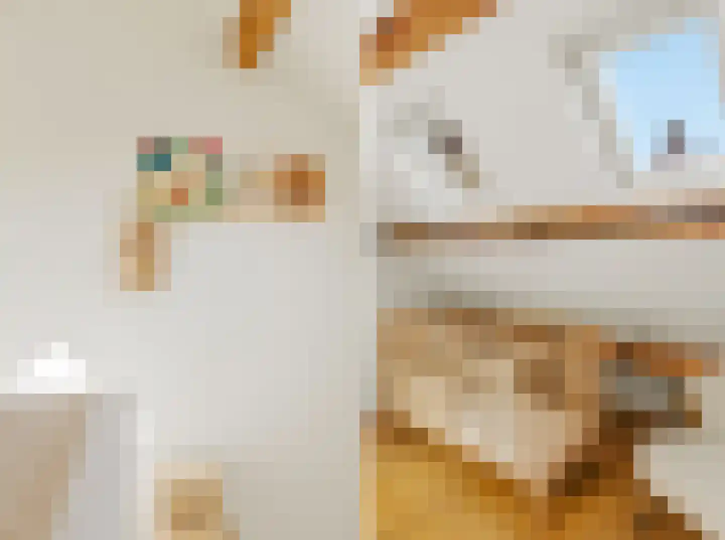 Woestduinstraat 92 2 Amsterdam thumbnail 36