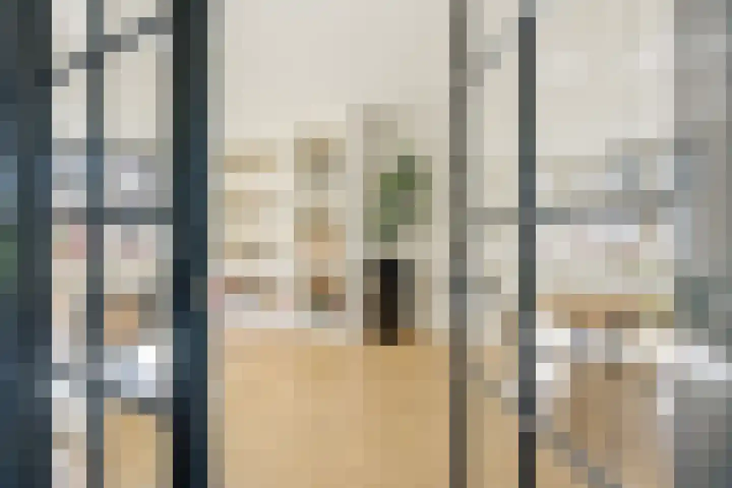 Woestduinstraat 92 2 Amsterdam thumbnail 4