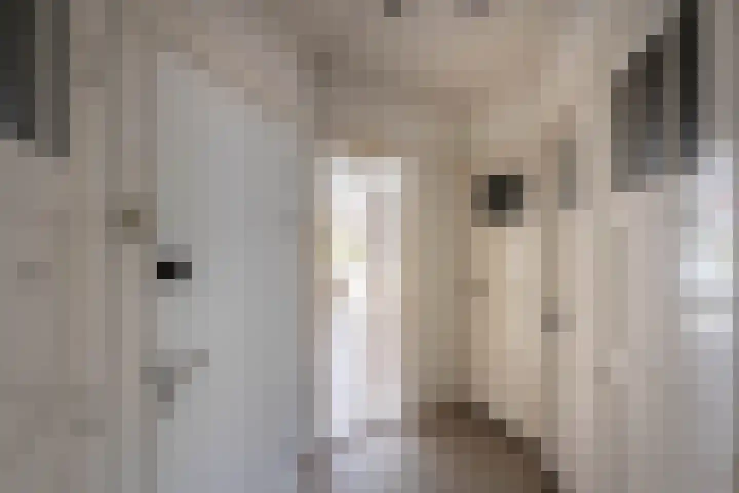 Woestduinstraat 99 2 Amsterdam thumbnail 23
