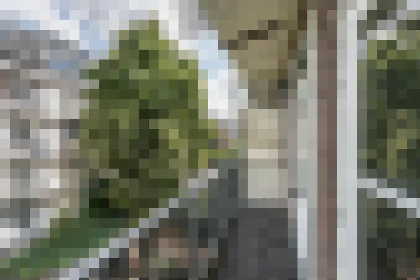 Woestduinstraat 99 2 Amsterdam thumbnail 24