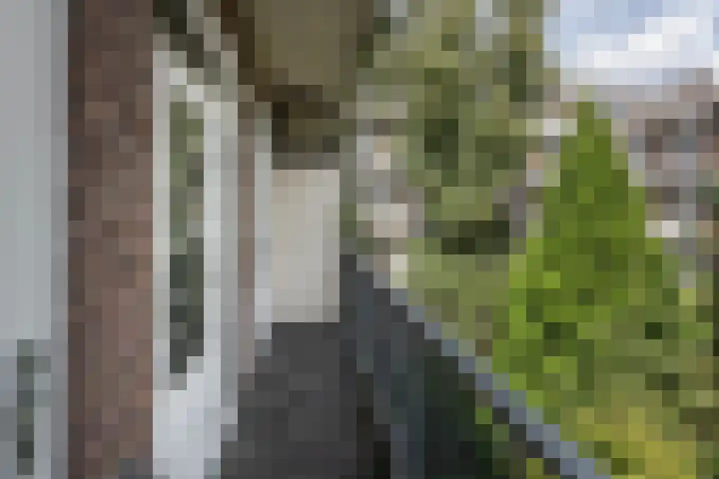 Woestduinstraat 99 2 Amsterdam thumbnail 25